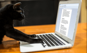 Top 7 Free Microsoft Word Alternatives