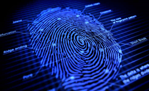 Hacker Claims That Fingerprints Can Be Stolen With A Camera