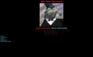 Malaysia Airlines Website Hacked by Lizard Squad