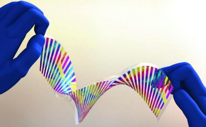 Engineers Create Chameleon Artificial 'Skin' That Shifts Color