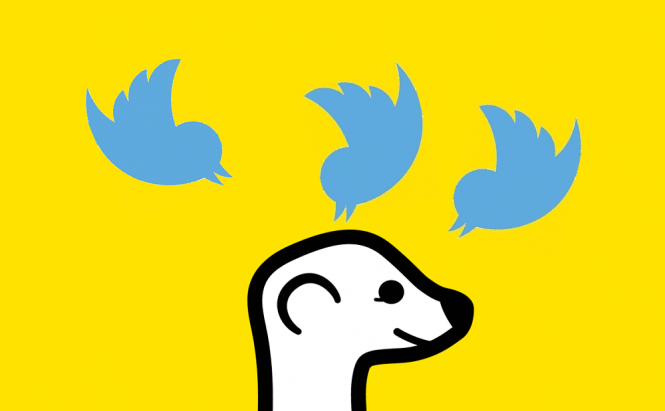 Twitter vs Meerkat