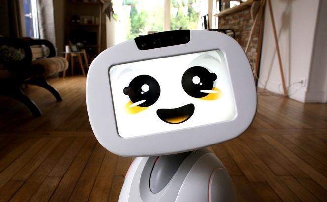 Meet Buddy – a cute family companion robot