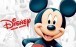 The Disney Animated Miracle