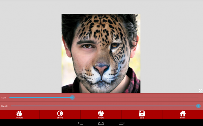 Animal Faces - Face Morphing