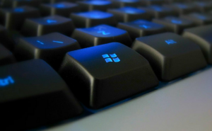 Disable the Windows key shortcuts