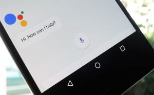 Google Assistant breaks into the wild