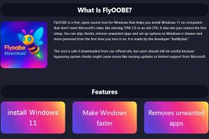 Spotlight: Flyoobe, a Windows 11 installation customization tool
